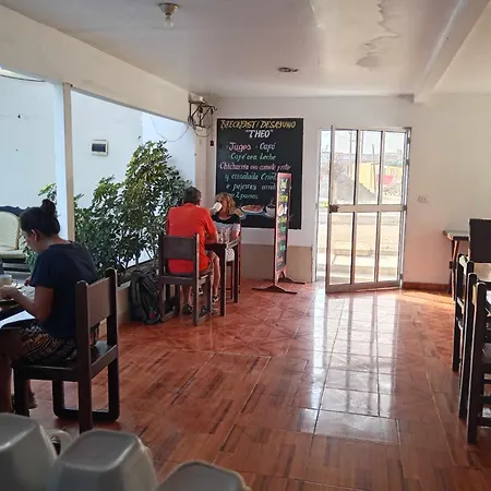 Hostel Willys House-3