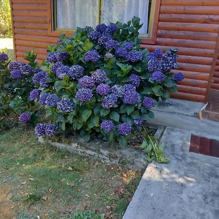 Cabanas Rimari-3