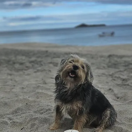Nico'S Beach Panama-3