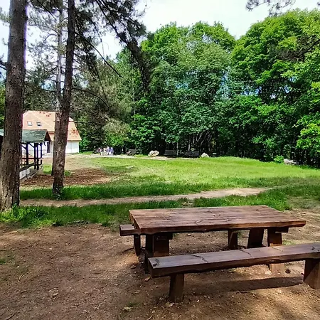 Apartman Rubi Sokobanja-2