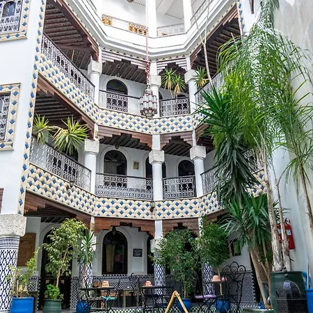Riad El Yacout-2