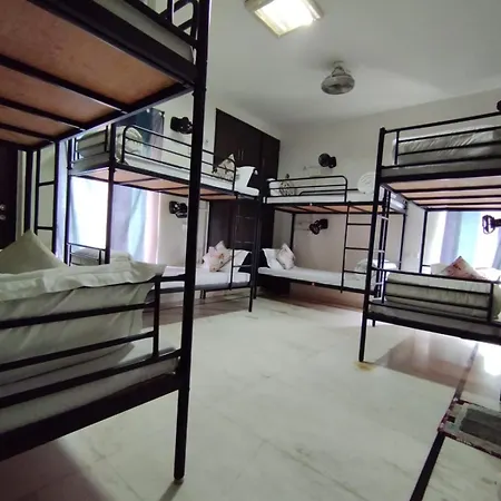 A Sleepy Fox Hostel-2
