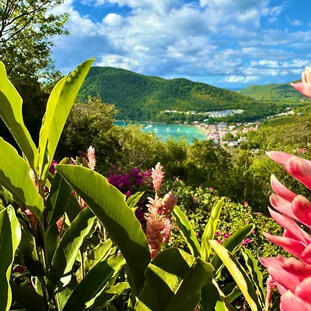 Au Jardin Des Colibris Ecolodge&Spa-3