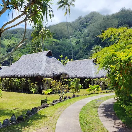 Hotel Hibiscus-2