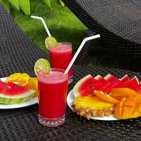 Ocean View Tourist Guest House At Negombo Beach Near The Airport-3