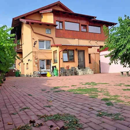 Casa Vlaicu-2