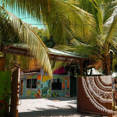 Flutterby House Hostel-2