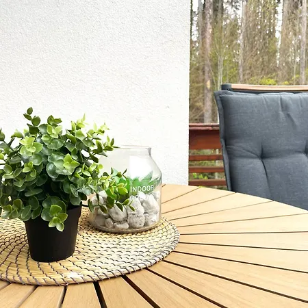 Forest Oasis Studio: Free Netflix And Disney+-3
