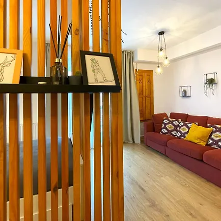 Forest Oasis Studio: Free Netflix And Disney+-2