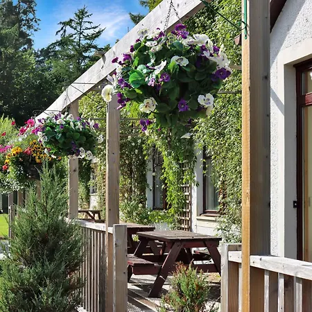 Lodges By Atholl Palace-2