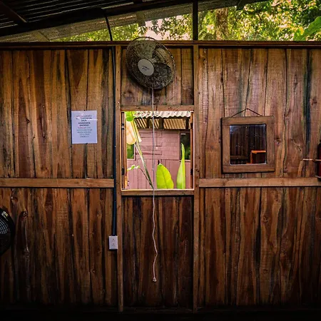 Flutterby House Hostel-3