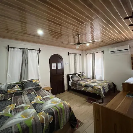 Apartamentos Mansion Tropical-2