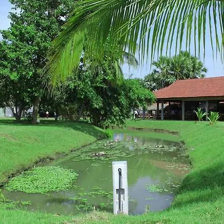 Thompukandam Village Resort-3