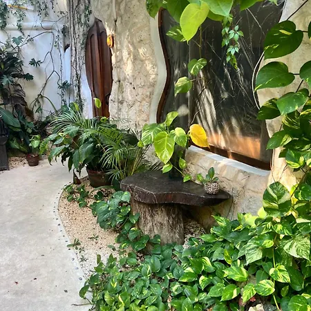 La Quinta Orquidea-3