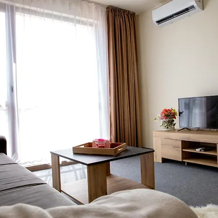 One-Bedroom Premium Apartment-3