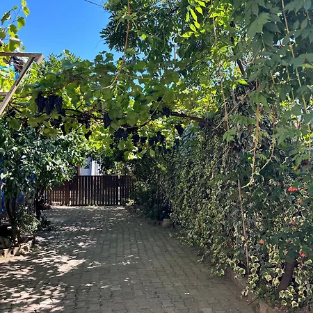 Downtown Guest House-3