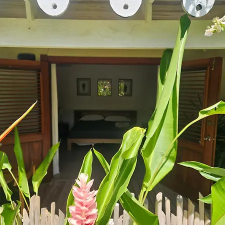 Casa Shambala B&B - 100 M De La Playa-3