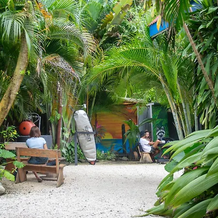Surf Paradise-2