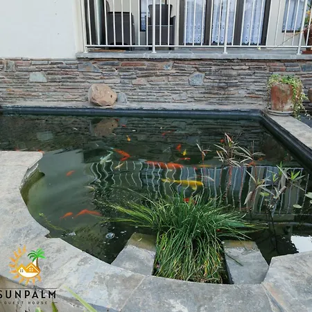 Sunpalm Guesthouse-3
