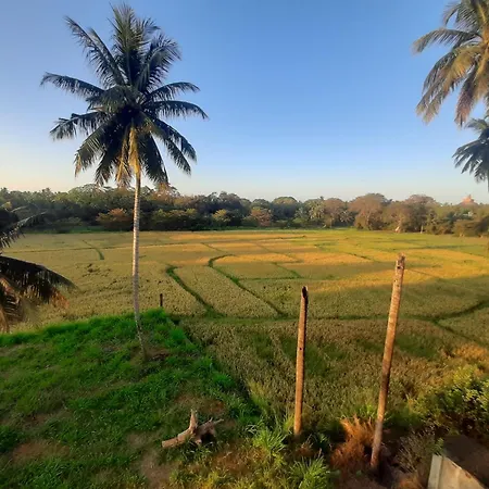 Anuradhapura Kingdom View Resort-3