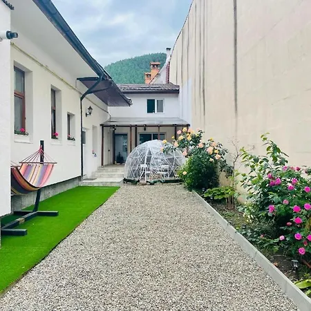 Schei Brasov-Скей Брашов-2