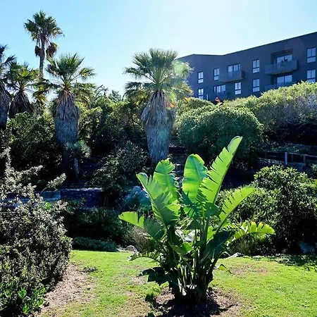 Zals -Luxury -Two Bed -Nine Palms-2