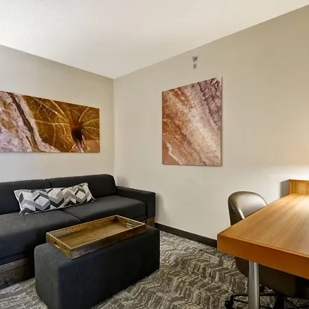 Springhill Suites By Marriott Lexington Near The University Of Kentucky-2