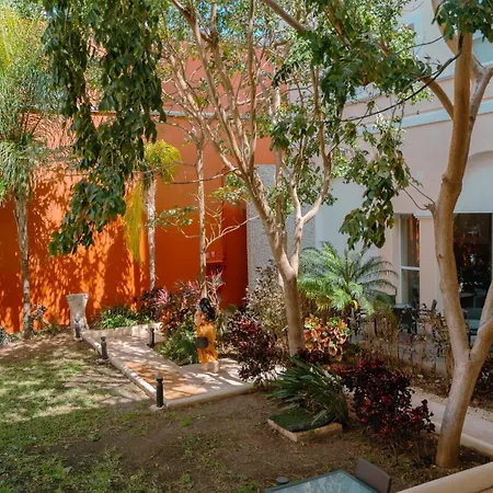 Holiday Inn Express Merida Centro By Ihg-3