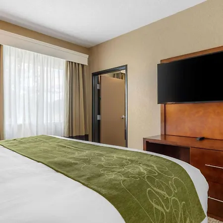 Comfort Suites San Antonio Airport North-2