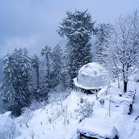 Glampeco Manali-3