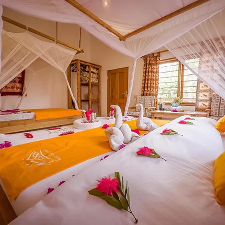 Meru View Lodge-2