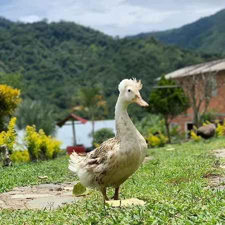 Finca Ecoparaiso-3