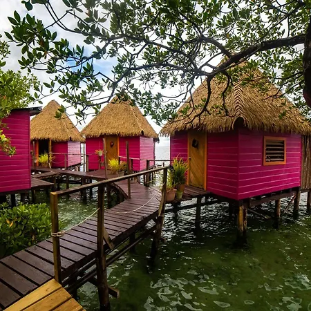 Urraca Monkey Island Eco Resort (Adults Only)-2