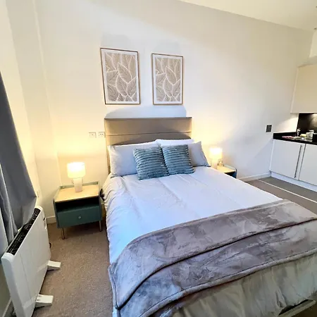Luxury Studio With Super Fast Wifi Gated Development-2