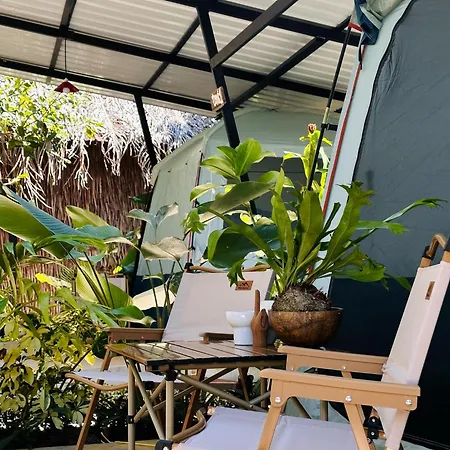 Tropical Hostel-2