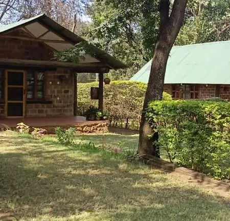 Kilimanjaro Lodge Cabins-3