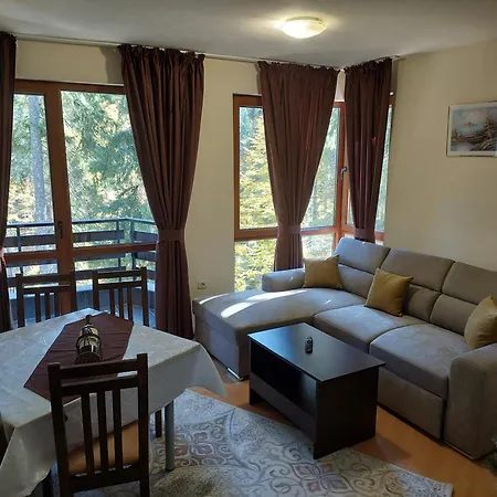 Ski & Holiday Apartments In Pamporovo-2