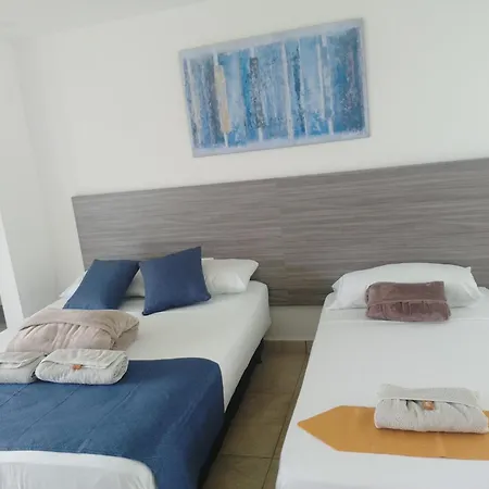 Hotel Palo Grande Cf Pereira-2