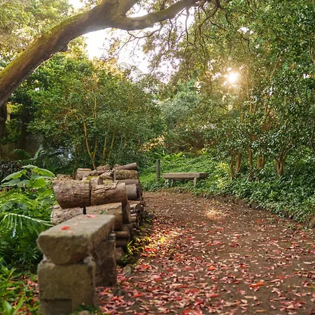 Solar Dos Cantos Botanic House & Garden-2