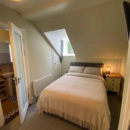 Fern House-3