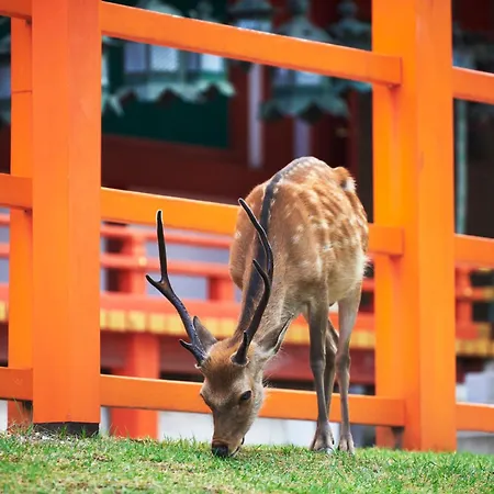 Jw Marriott Hotel Nara-3