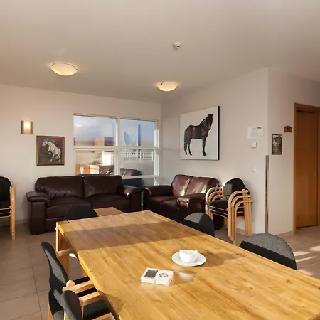 Guesthouse Eldhestar-3