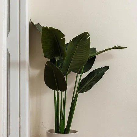 Cozy Historical Flat Napoli-2