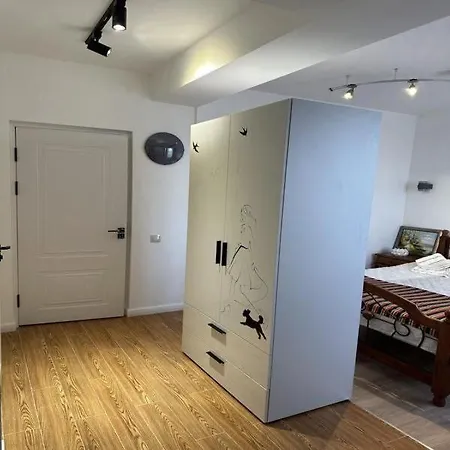 Superb Loft Tashkent Downtown-3