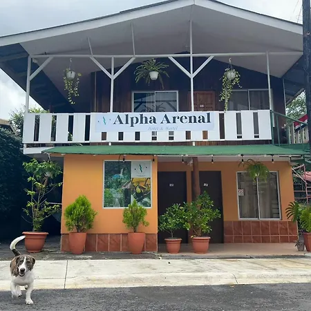 Alpha Private Rooms-3