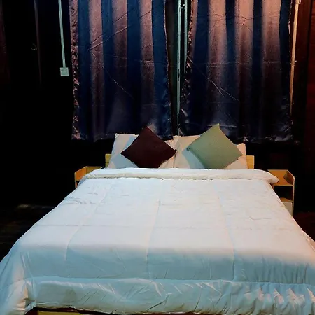 Cozy Nest Cnx-2