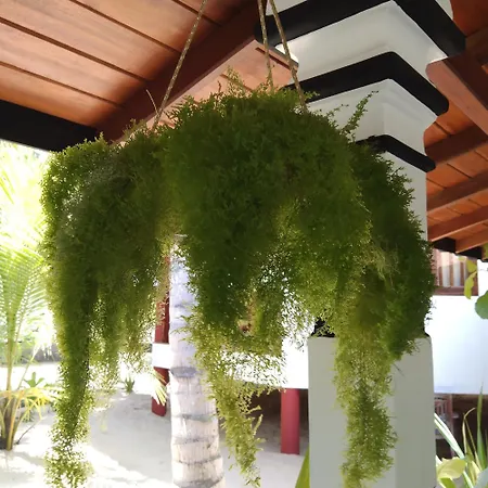 Patini Bungalows - Beach Garden-3