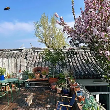 Peking Garden Siheyuan Boutique Hotel-Forbidden City&Beihai Park&Historic Hutong-Traditionnal Yard&Sunshine Terrace&Tea House&Home Kitchen-3