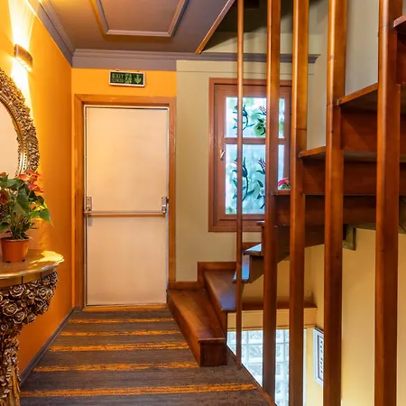 Wonder Wood Hotel-2