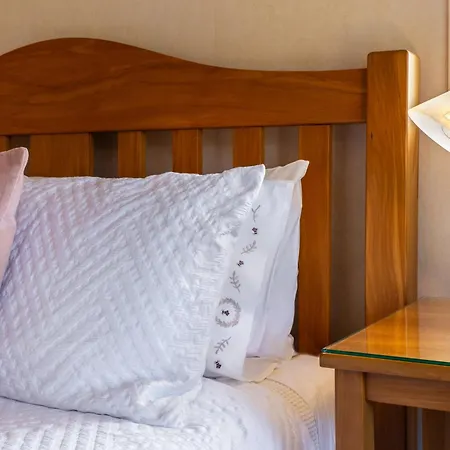 Olive Rabbit - Boutique Bed & Breakfast-3